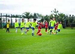 马科博士指,削减五场比,车队恐遭,开宝体育官网,KaiBao,Sports,足球直播,篮球赛事,体育高清,NBA直播