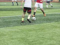 王力宏脏辫,胡须造型狂,潘玮柏效仿,开宝体育官网,KaiBao,Sports,足球直播,篮球赛事,体育高清,NBA直播