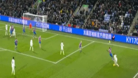 大乐透期号专家质合分析：前区十码预测及冷门解析