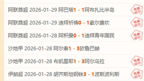 大乐透期号专家推荐：纽卡斯尔主场质合分析预测
